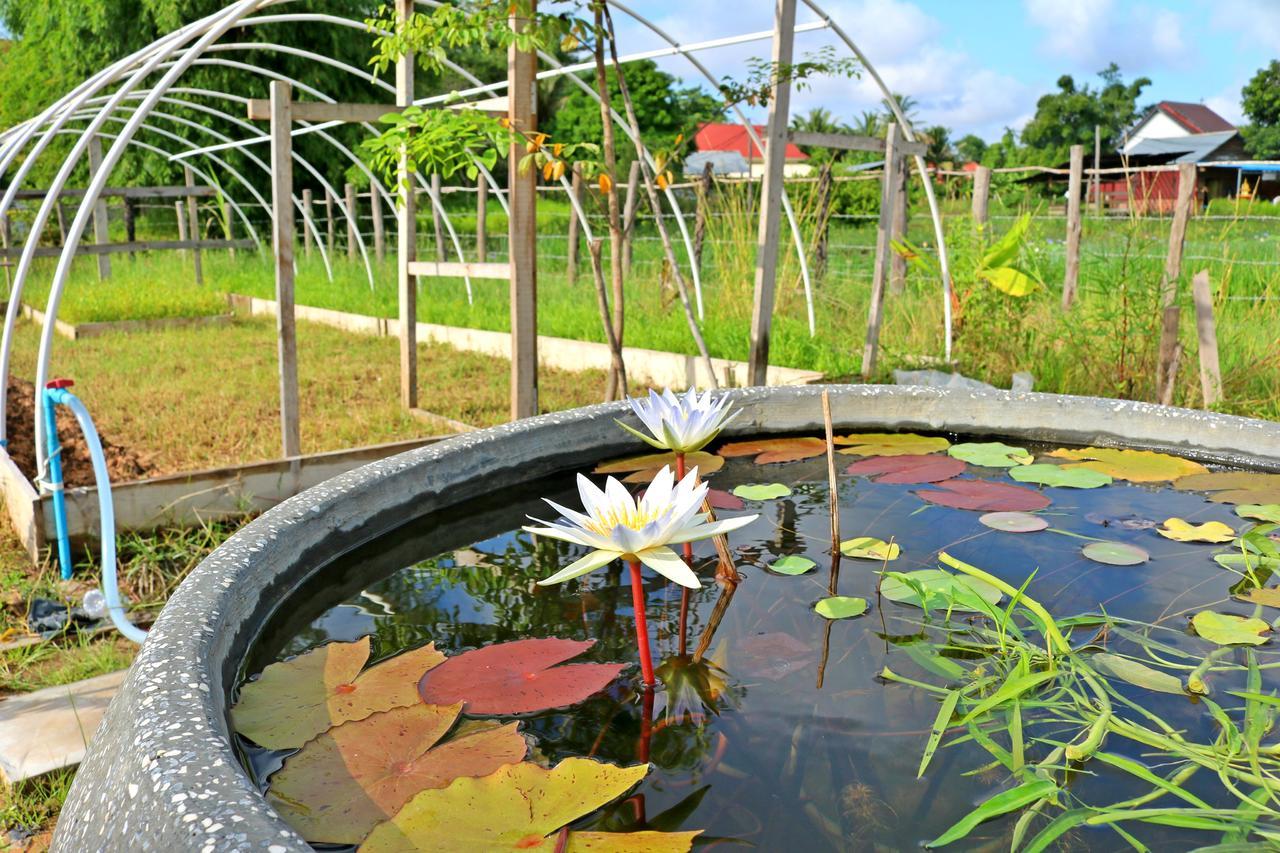 Urban Farmhouse Siem Reap Exterior foto